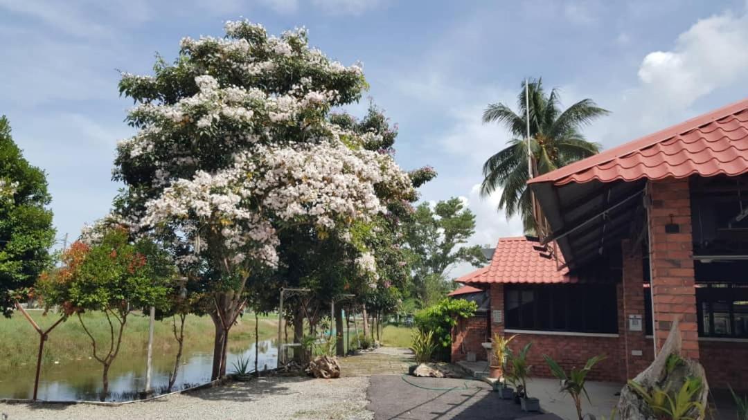 Homestay Umbai Kelana Merlimau Luaran gambar