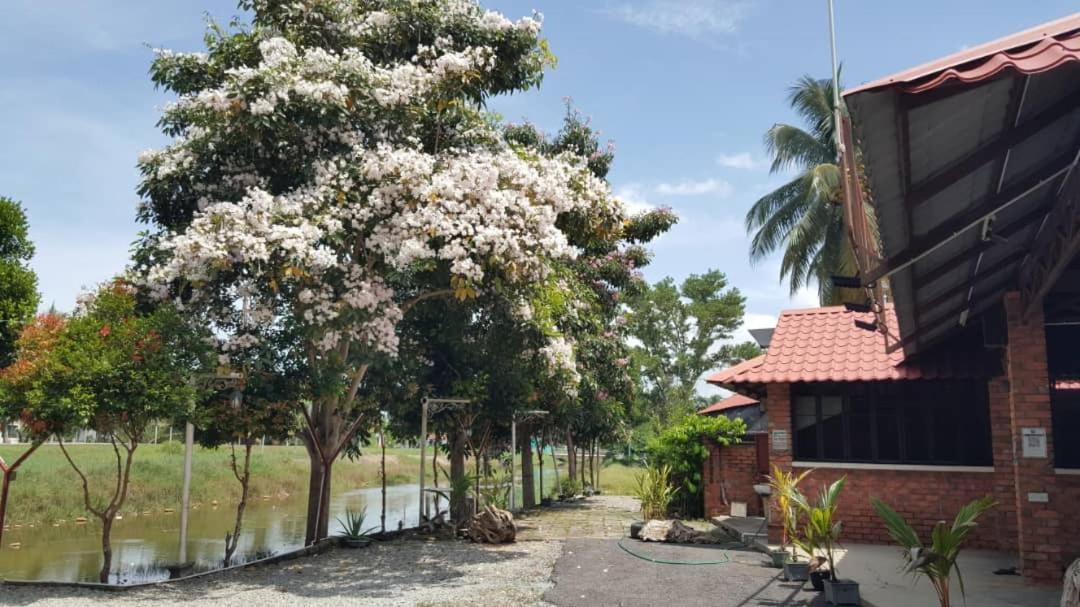 Homestay Umbai Kelana Merlimau Luaran gambar